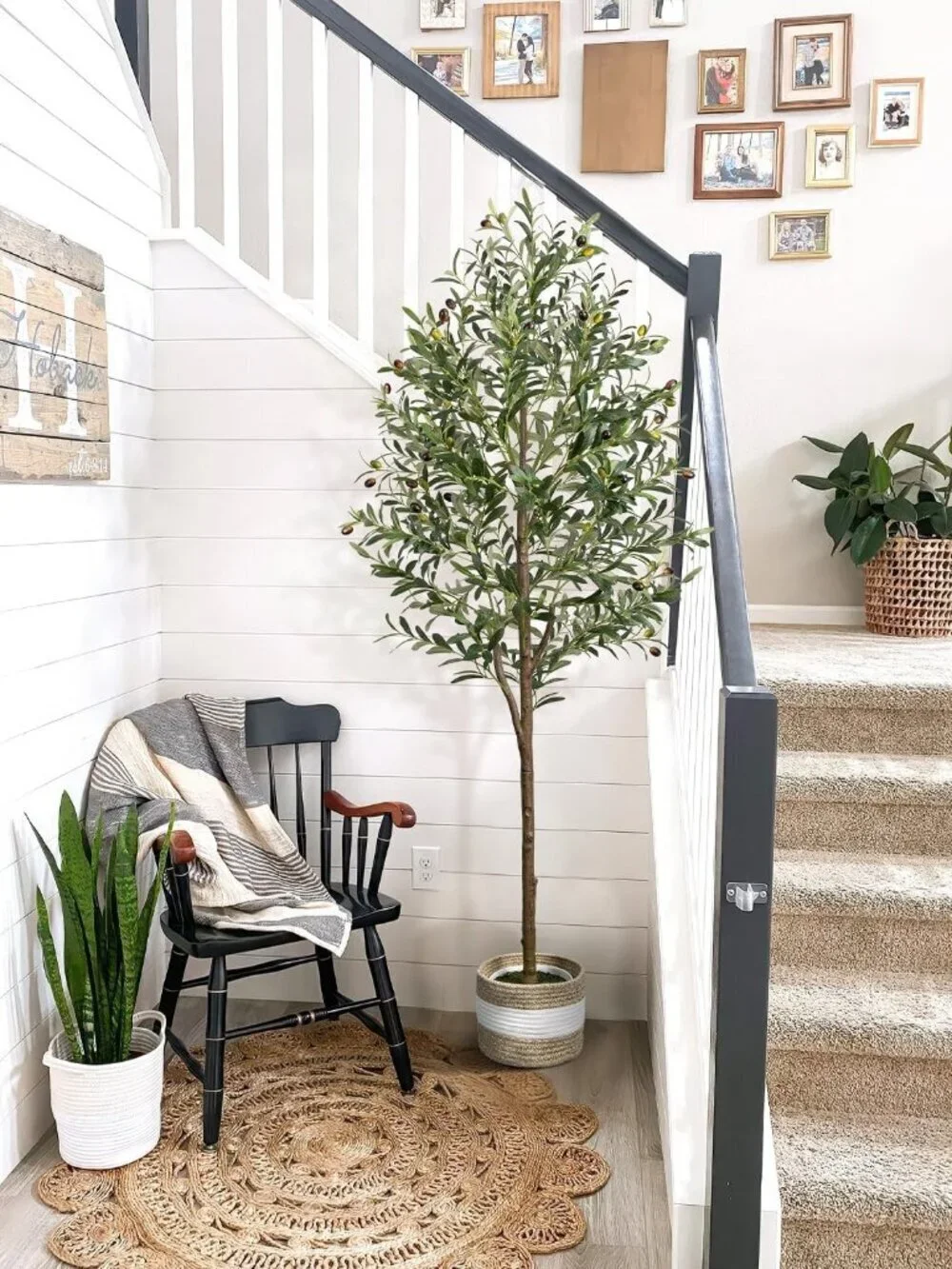 6FT Artificial Olive Tree - Indoor Tall Faux Olive Trees with Planter & Basket